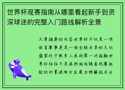 世界杯观赛指南从哪里看起新手到资深球迷的完整入门路线解析全景 世界杯观赛指南从哪里看起新手到资深球迷的完整入门路线解析全景